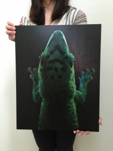 Gecko print