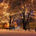 Park benches in the wintertime underneath trees decorated with lights