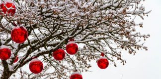 Holiday ornaments hanging from a tree against a snowy background