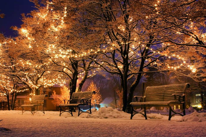 Park benches in the wintertime underneath trees decorated with lights