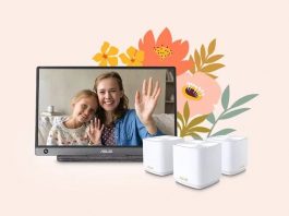 An ASUS portable monitor and a ZenWiFi mesh WiFi system in front of stylized flowers