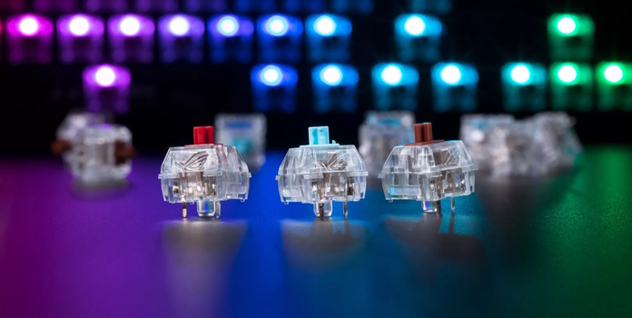 Closeup of ROG NX switches